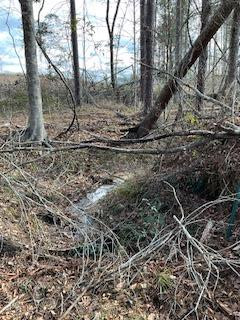 0 Garrett Road Silver Creek, MS 39663 - Photo 3 of 16 Photo 3