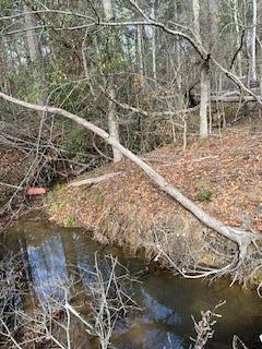 0 Garrett Road Silver Creek, MS 39663 - Photo 4 of 16 Photo 4
