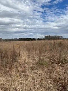 $551,816 | 0 Garrett Road, Silver Creek, MS 39663