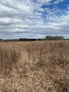 0 Garrett Road Silver Creek, MS 39663 - Photo 5 of 16 Photo 5