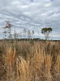 $551,816 | 0 Garrett Road, Silver Creek, MS 39663