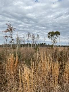 0 Garrett Road Silver Creek, MS 39663 - Photo 6 of 16 Photo 6