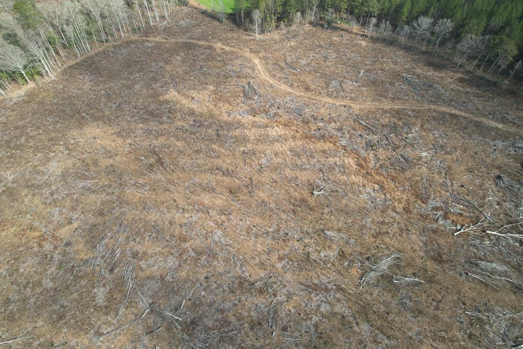 0 Garrett Road Silver Creek, MS 39663 - Photo 8 of 16 Photo 8