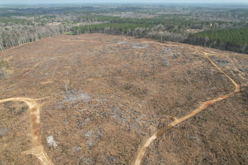 0 Garrett Road Silver Creek, MS 39663 - Photo 9 of 16 Photo 9