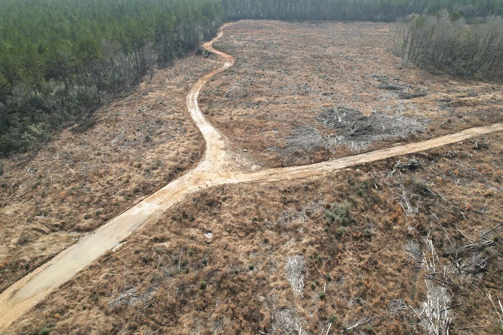 0 Garrett Road Silver Creek, MS 39663 - Photo 10 of 16 Photo 10