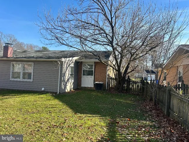 a view of empty yard with large trees