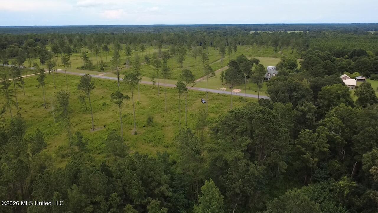 Kirklin Road Tylertown, MS 39667 - Photo 4 of 20 DRPA1036