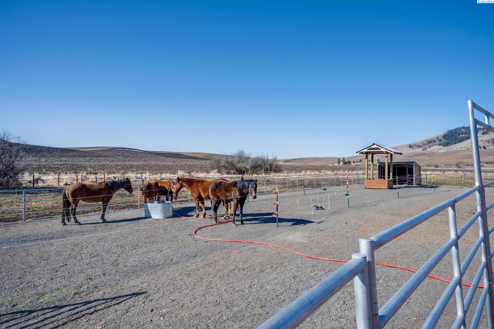 351 L West Road Palouse, WA 99161 - Photo 25 of 50 Gallery Image 25
