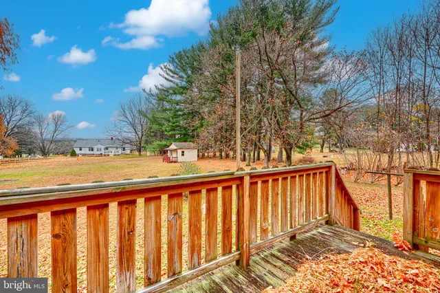 a view of road with large trees