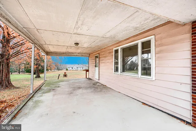 a street view with large trees