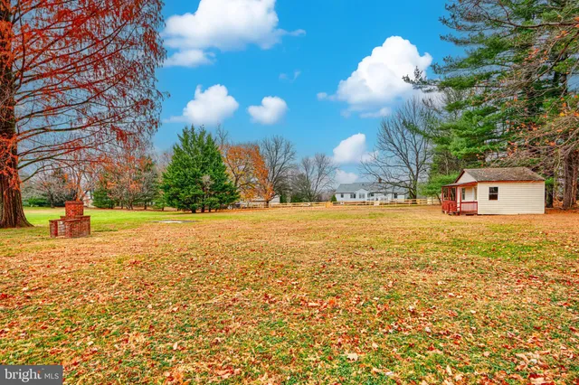 a view of a field with an trees