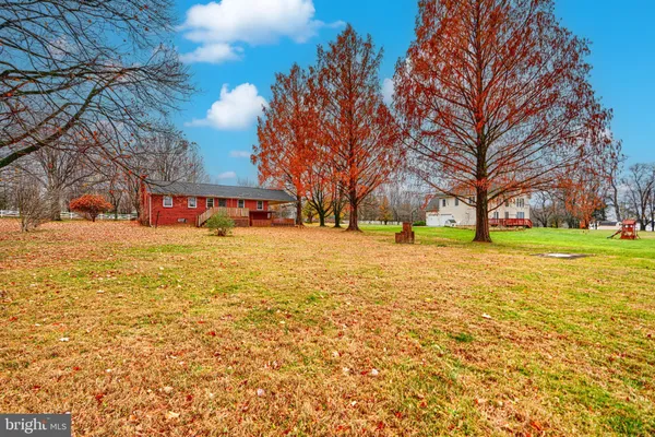 a view of yard with tree
