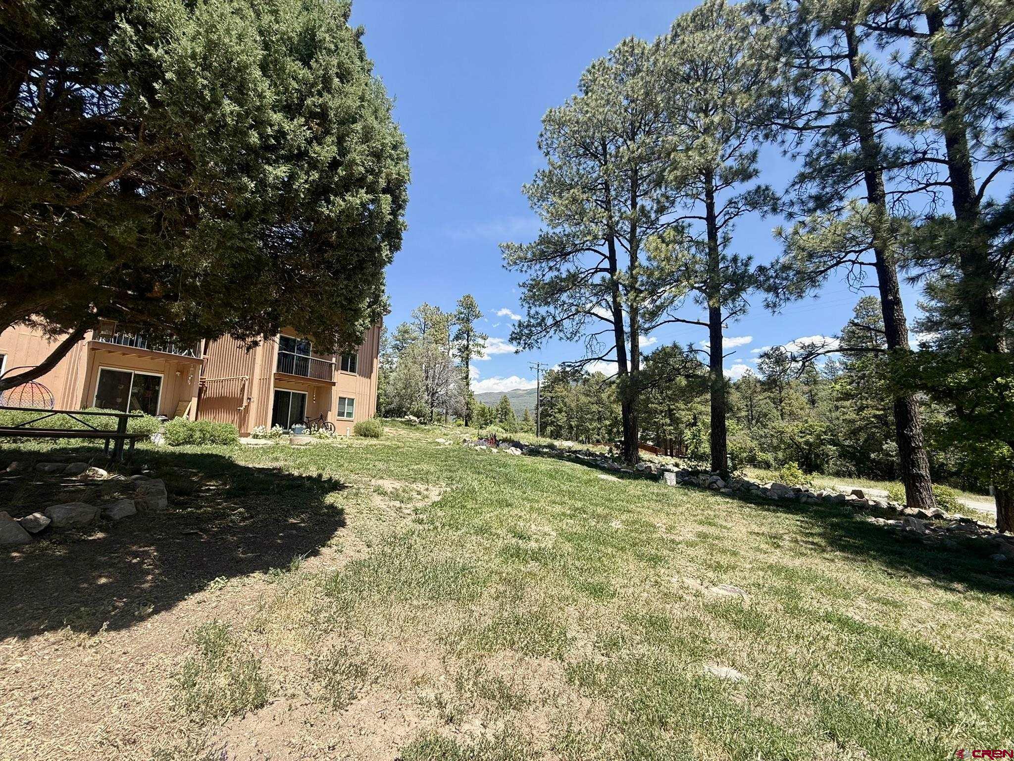 34237 Highway 550, Unit 27 Durango, CO 81301 - Photo 25 of 45 a view of a yard with plants and a tree