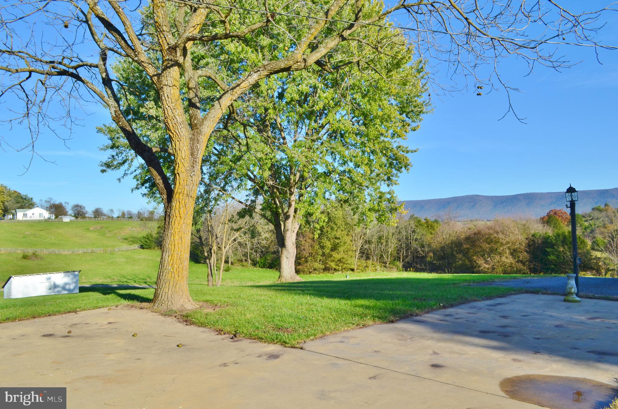 3345 Conicville Road Edinburg, VA 22824 - Photo 12 of 46