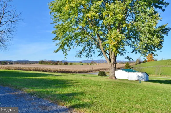 a view of yard with green space
