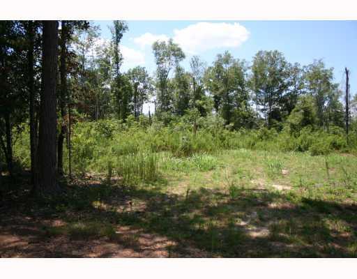 0 Cummnock Road Franklinton, LA 70438 - Photo 1 of 8 Gallery Image 1