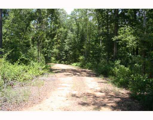 0 Cummnock Road Franklinton, LA 70438 - Photo 2 of 8 Gallery Image 2