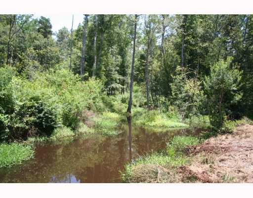 0 Cummnock Road Franklinton, LA 70438 - Photo 3 of 8 Gallery Image 3