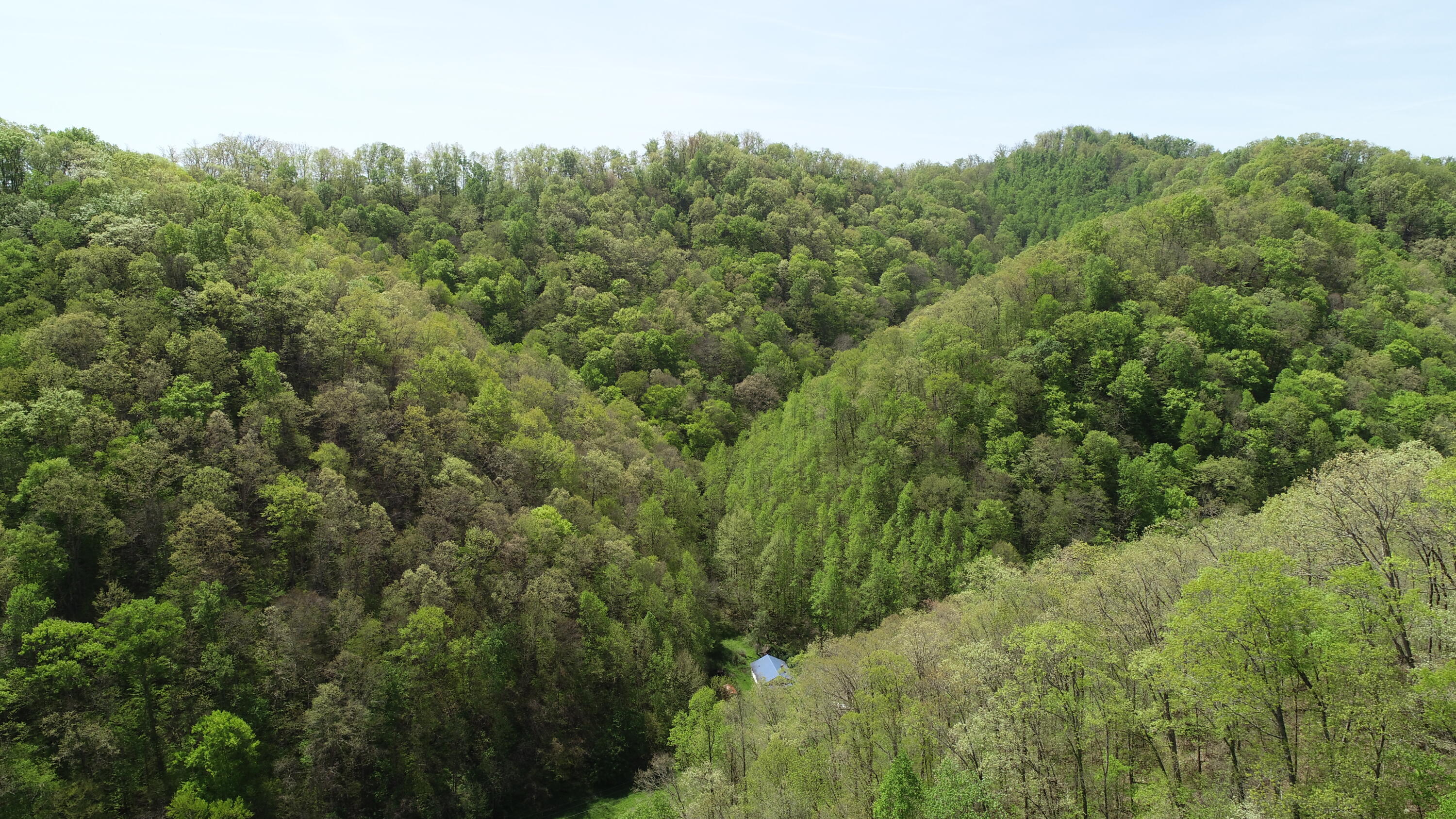 290 Rock House Branch Road Manchester, KY 40962 - Photo 3 of 24 DJI_0603
