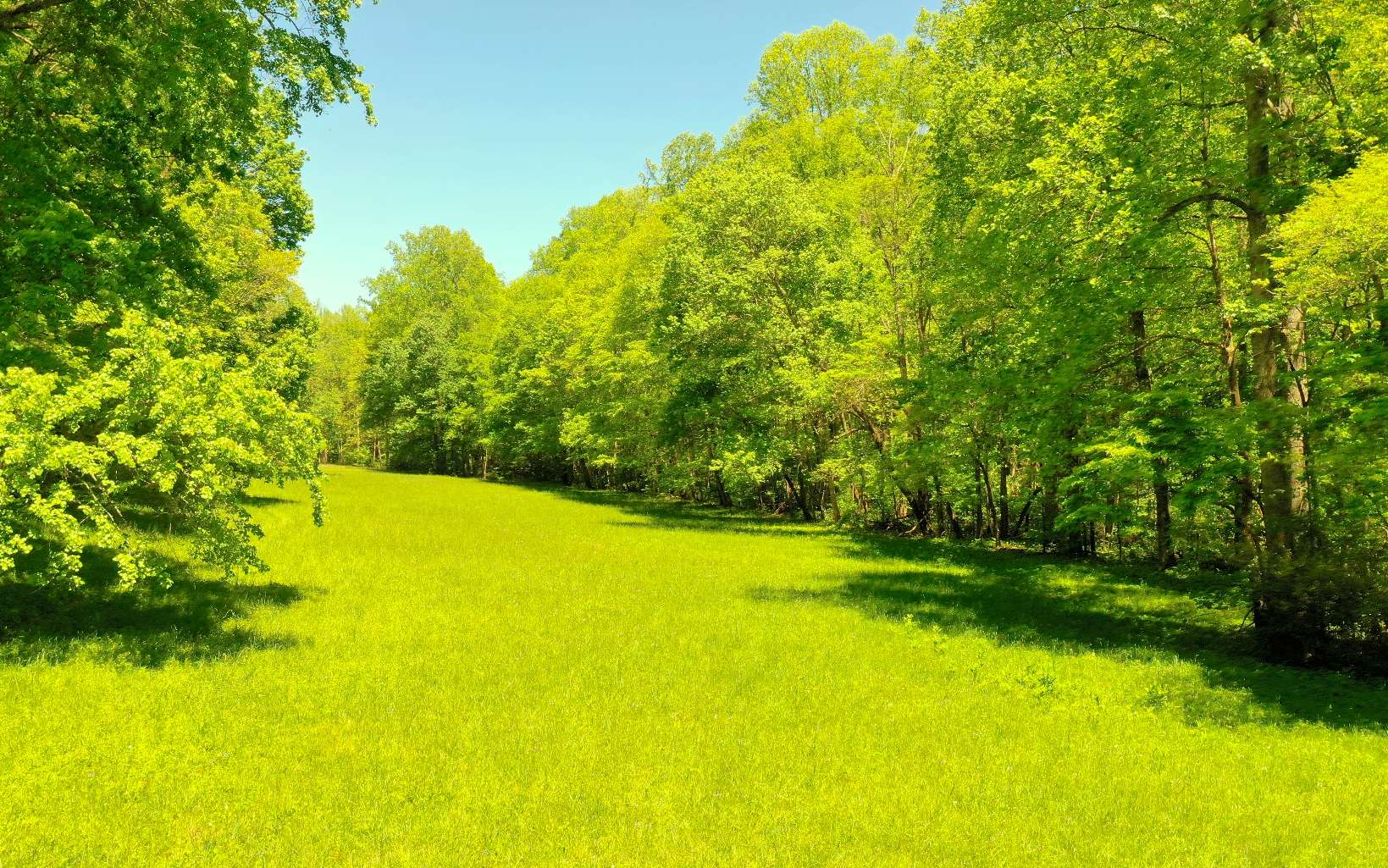 335 Griffith Road Murphy, NC 28906 - Photo 27 of 30 Additional View