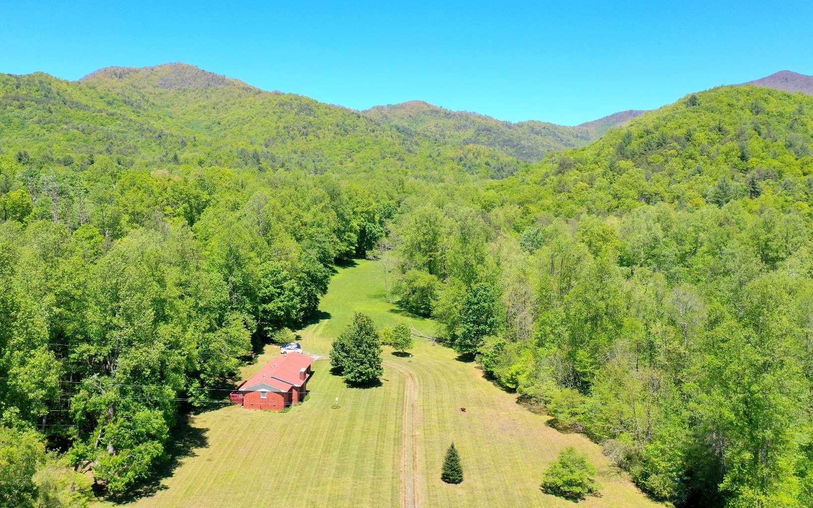 335 Griffith Road Murphy, NC 28906 - Photo 4 of 30 Additional View