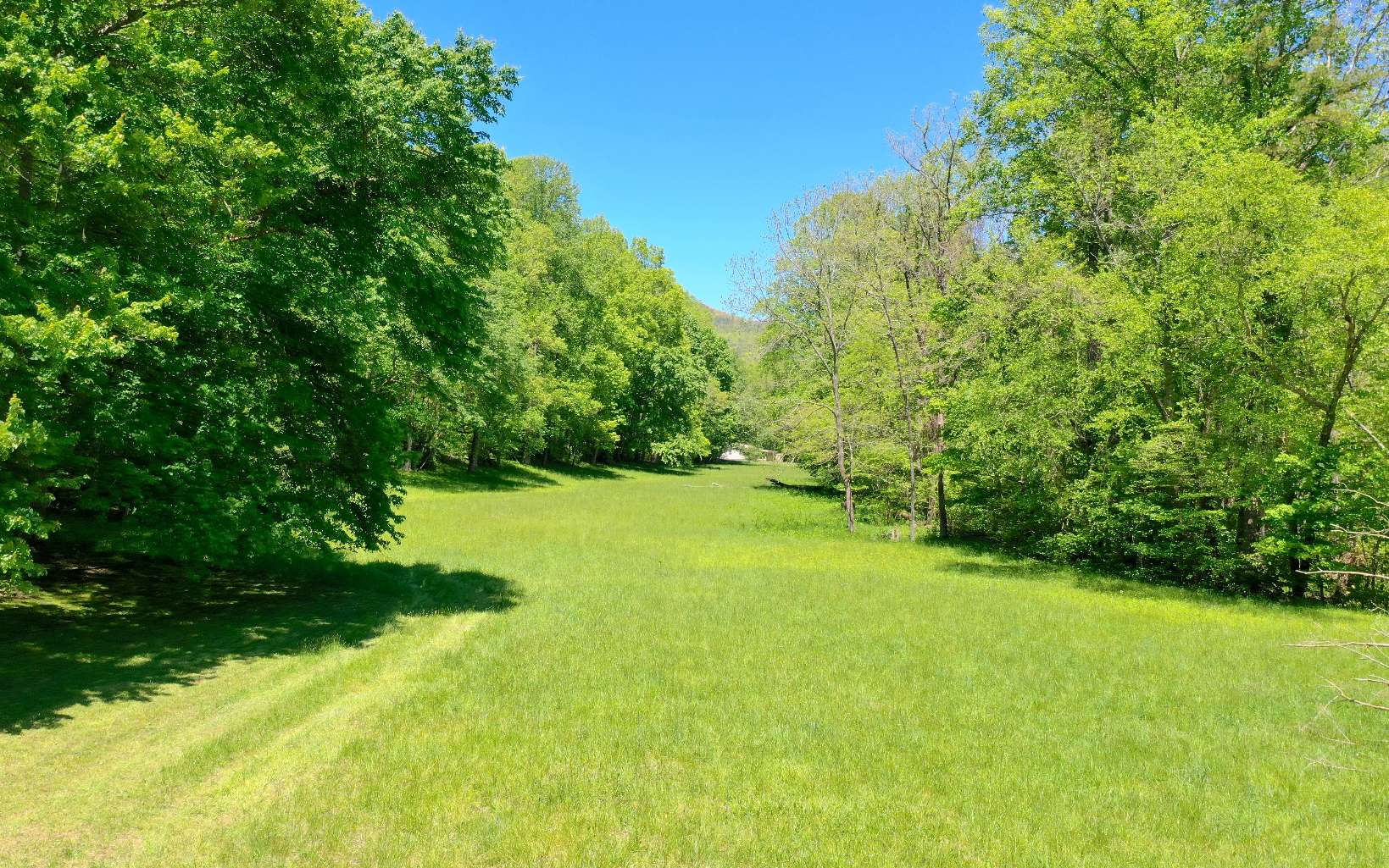 335 Griffith Road Murphy, NC 28906 - Photo 5 of 30 Additional View