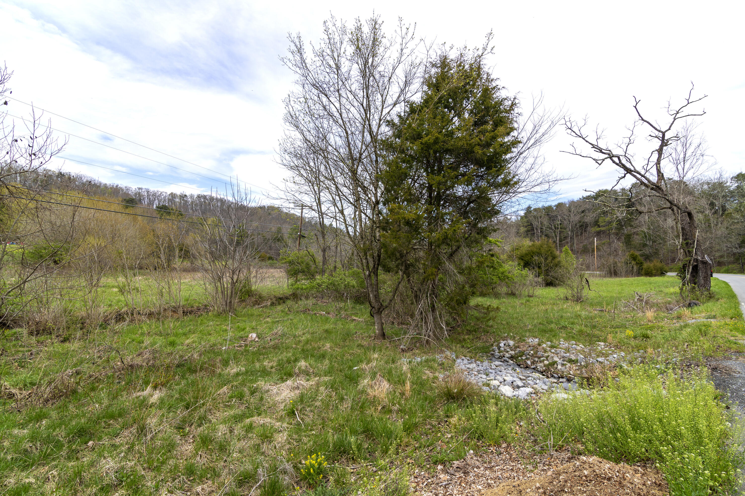 371 South Austin Springs Road, Unit 1 Johnson City, TN 37601 - Photo 15 of 19 37SAustinSprings77