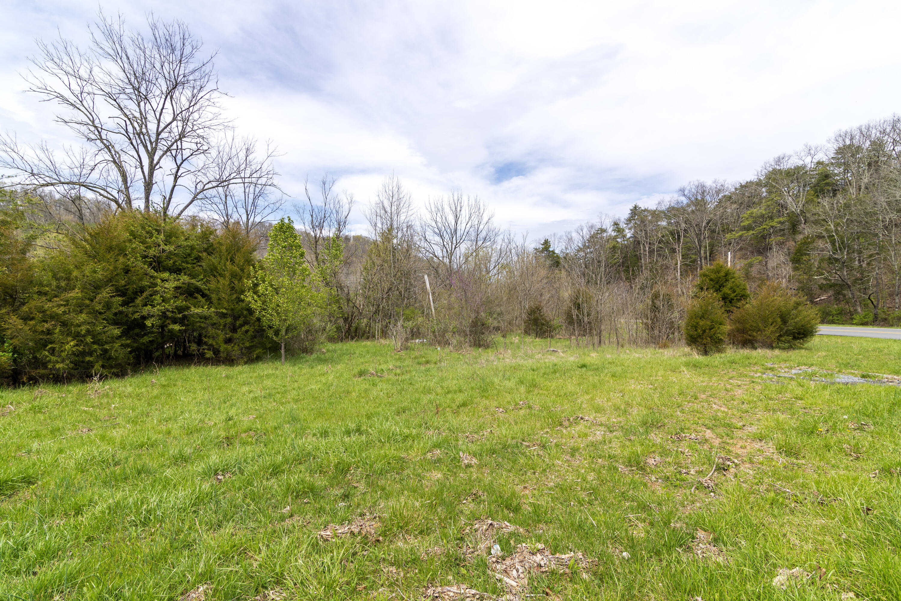 371 South Austin Springs Road, Unit 1 Johnson City, TN 37601 - Photo 18 of 19 37SAustinSprings82