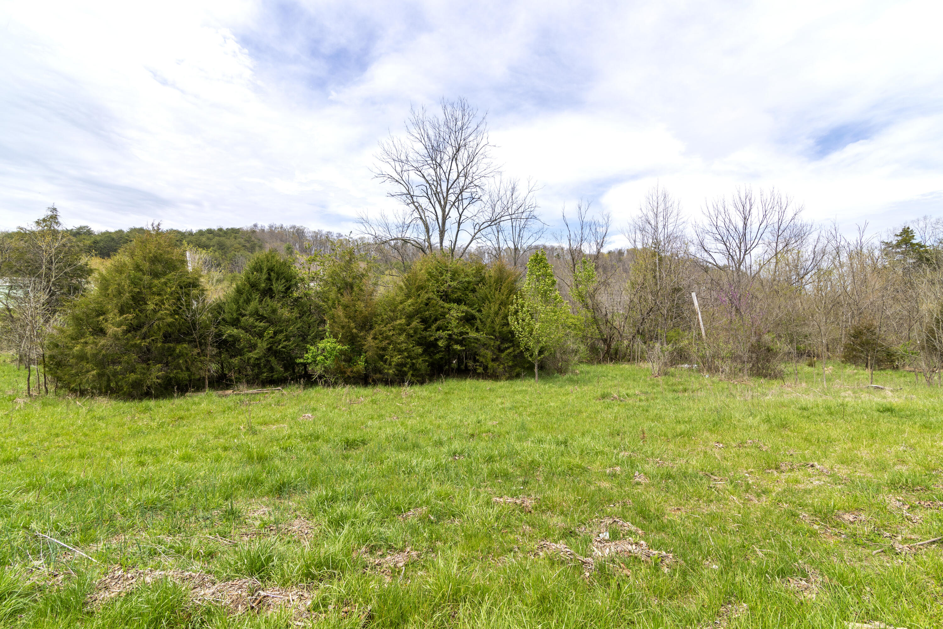 371 South Austin Springs Road, Unit 1 Johnson City, TN 37601 - Photo 19 of 19 37SAustinSprings83