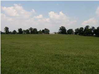 19 Posey Chapel Road Henderson, KY 42420 - Photo 1 of 1 Gallery Image 1