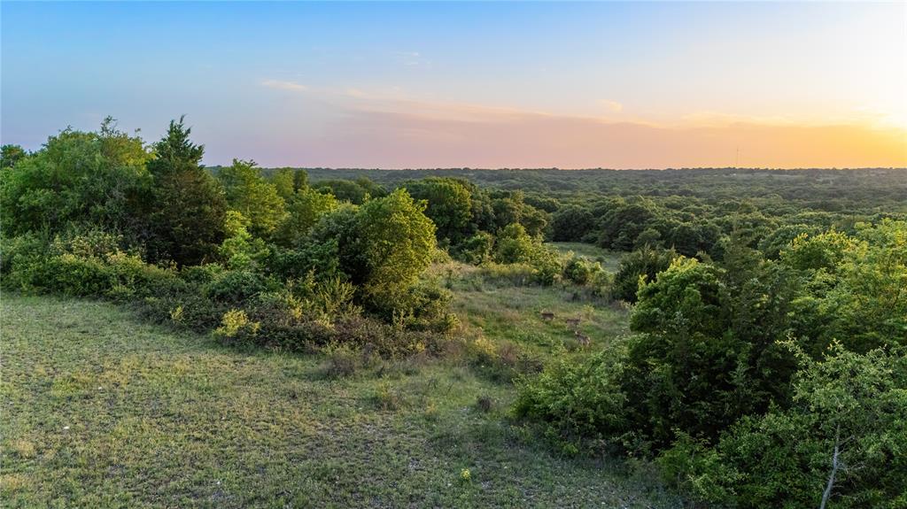 0 Fm 3206 St. Jo, TX 76265 - Photo 30 of 34