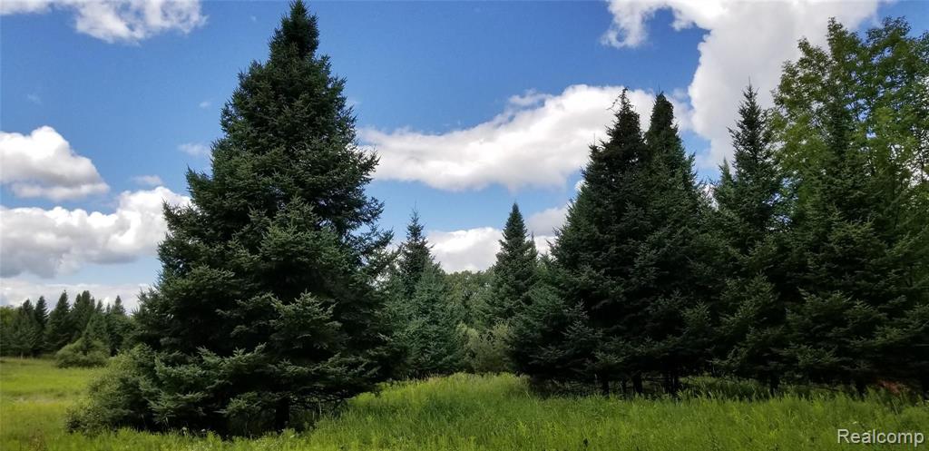 0 Brauer Road Metamora, MI 48455 - Photo 2 of 7