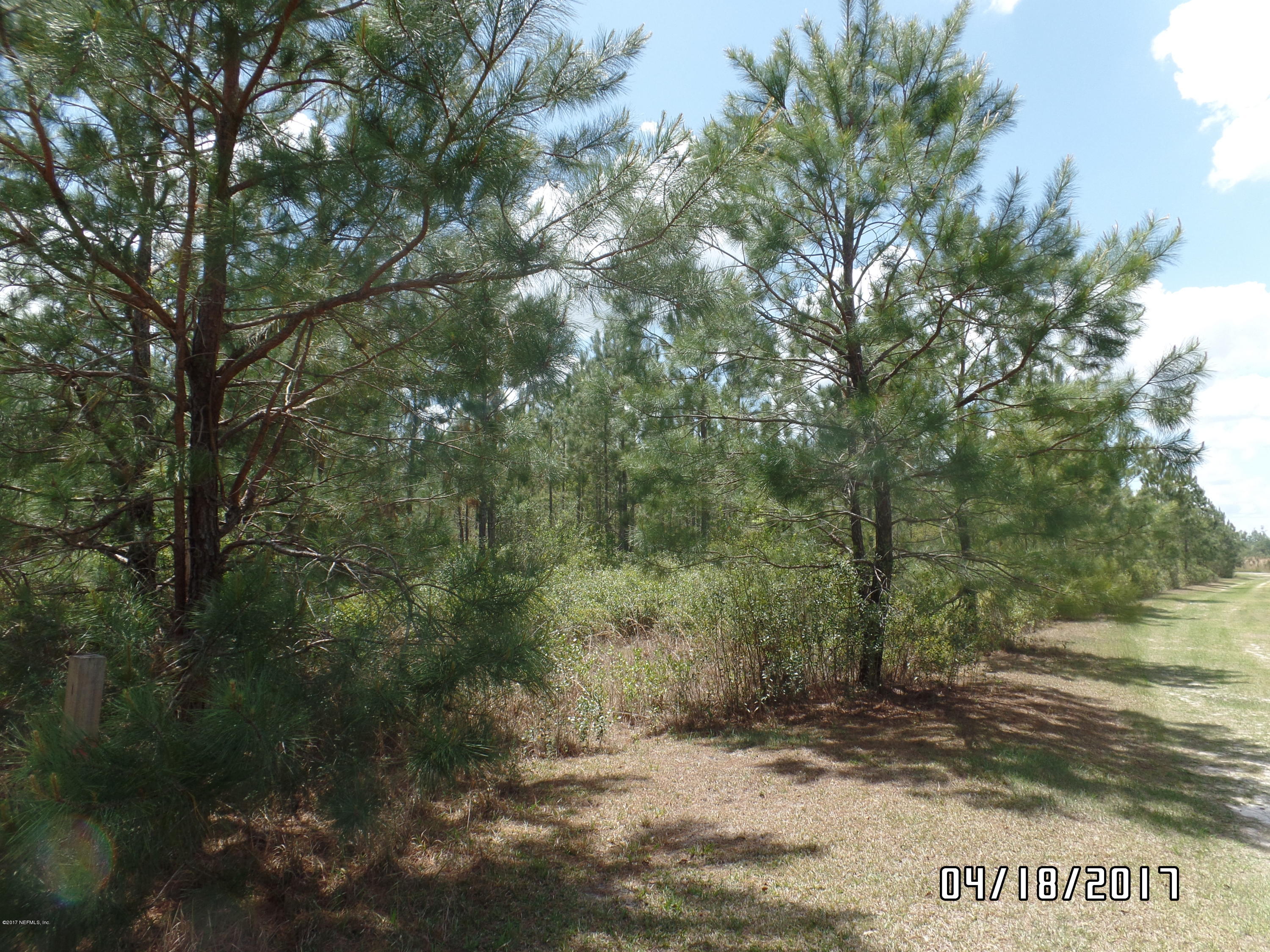 0 Cr 127 Road, Unit COUNTY Sanderson, FL 32087 - Photo 1 of 1 SAM_7343