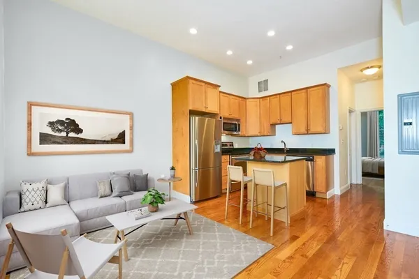 $3,825 | 58 East Springfield Street, Unit 3, Boston, MA 02118