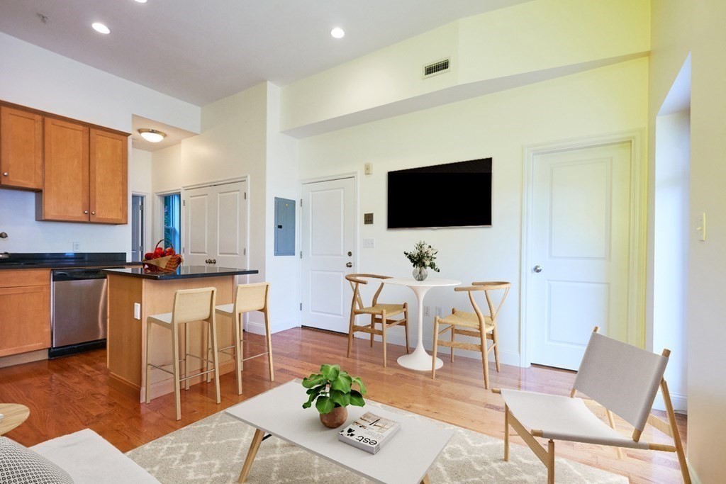 58 East Springfield Street, Unit 3 Boston, MA 02118 - Photo 2 of 17