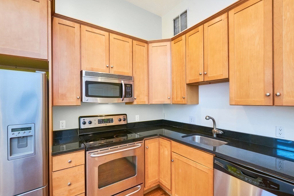 58 East Springfield Street, Unit 3 Boston, MA 02118 - Photo 4 of 17