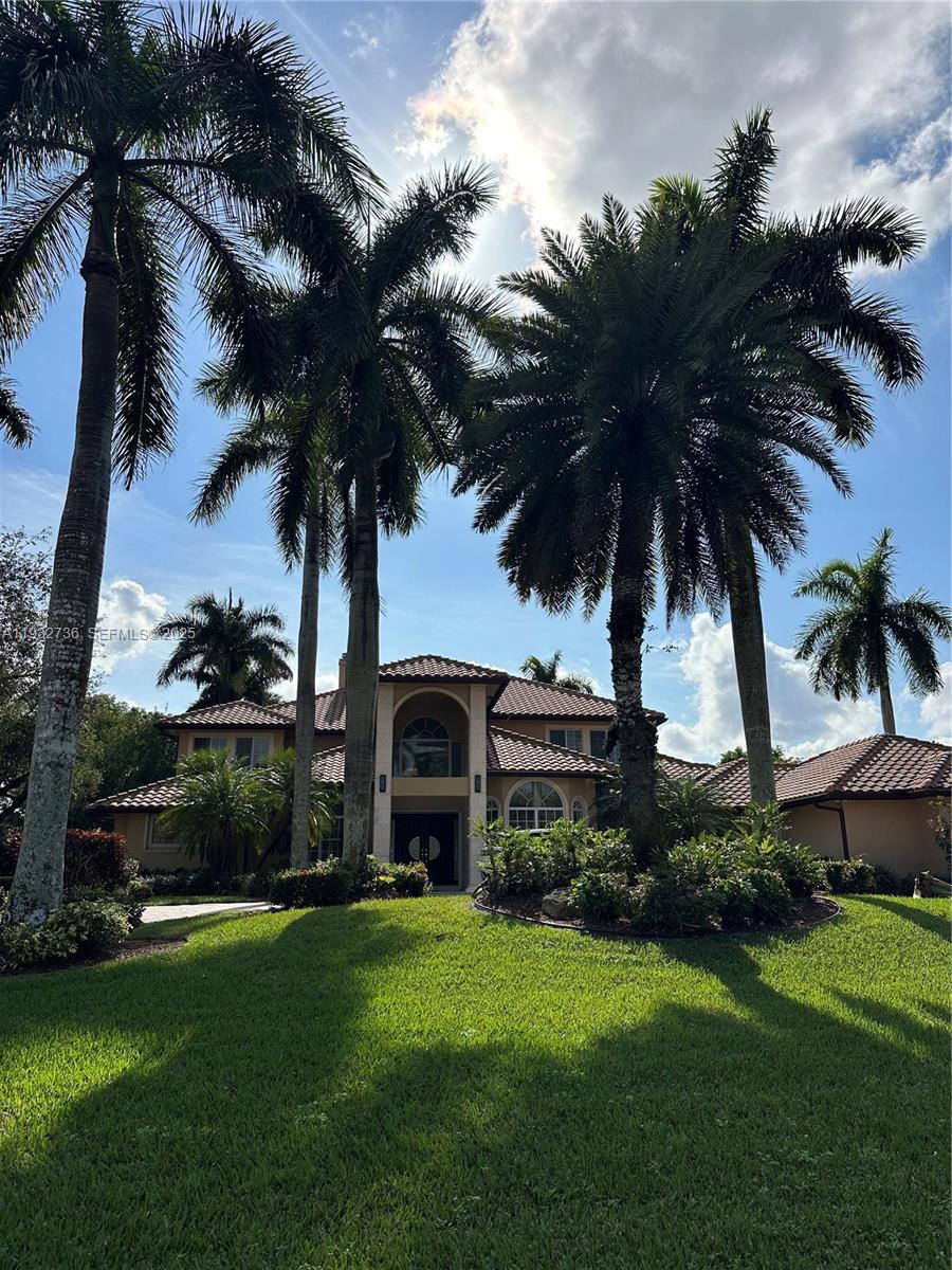 a view of a garden with palm trees