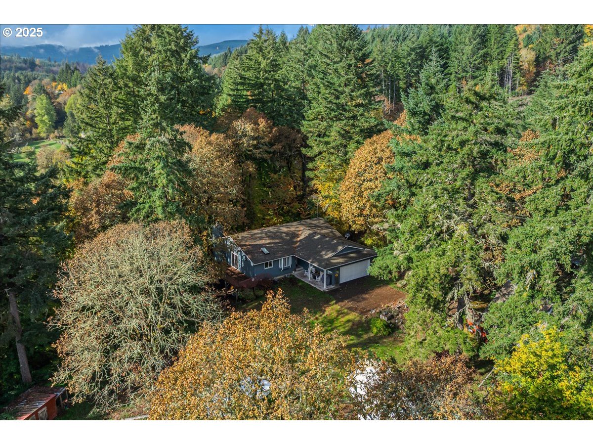 a view of a yard with a tree