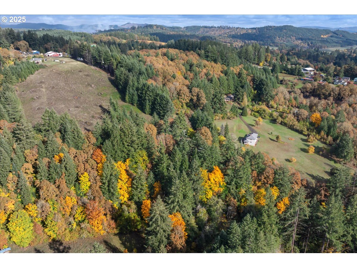 56220 Southwest Lee Falls Road Gaston, OR 97119 - Photo 39 of 44 a view of a lush green hillside and houses