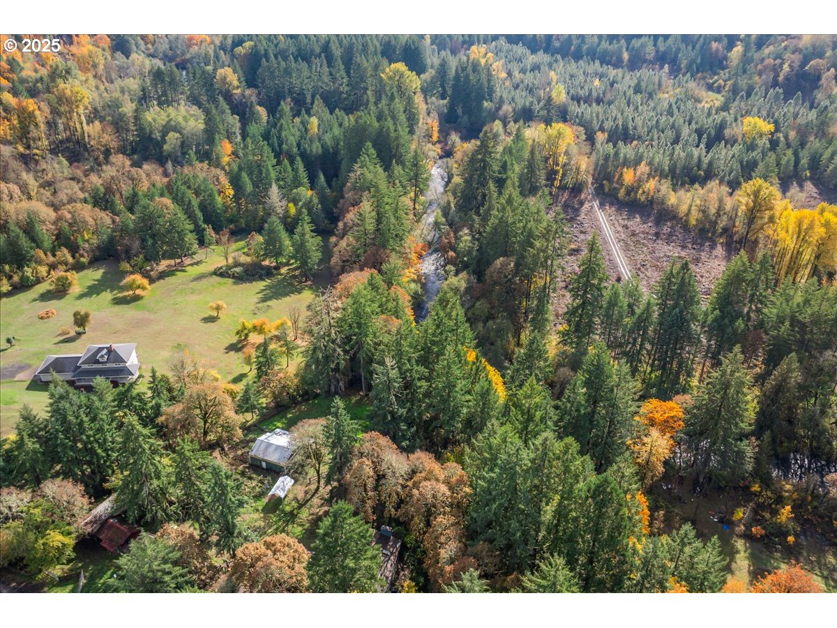 56220 Southwest Lee Falls Road Gaston, OR 97119 - Photo 42 of 44 a view of a yard with a tree