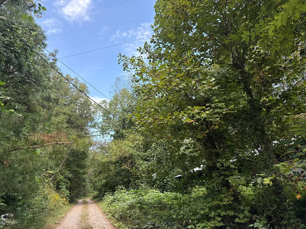 0 Mundy Road Marble, NC 28905 - Photo 4 of 12 Gallery Image 4