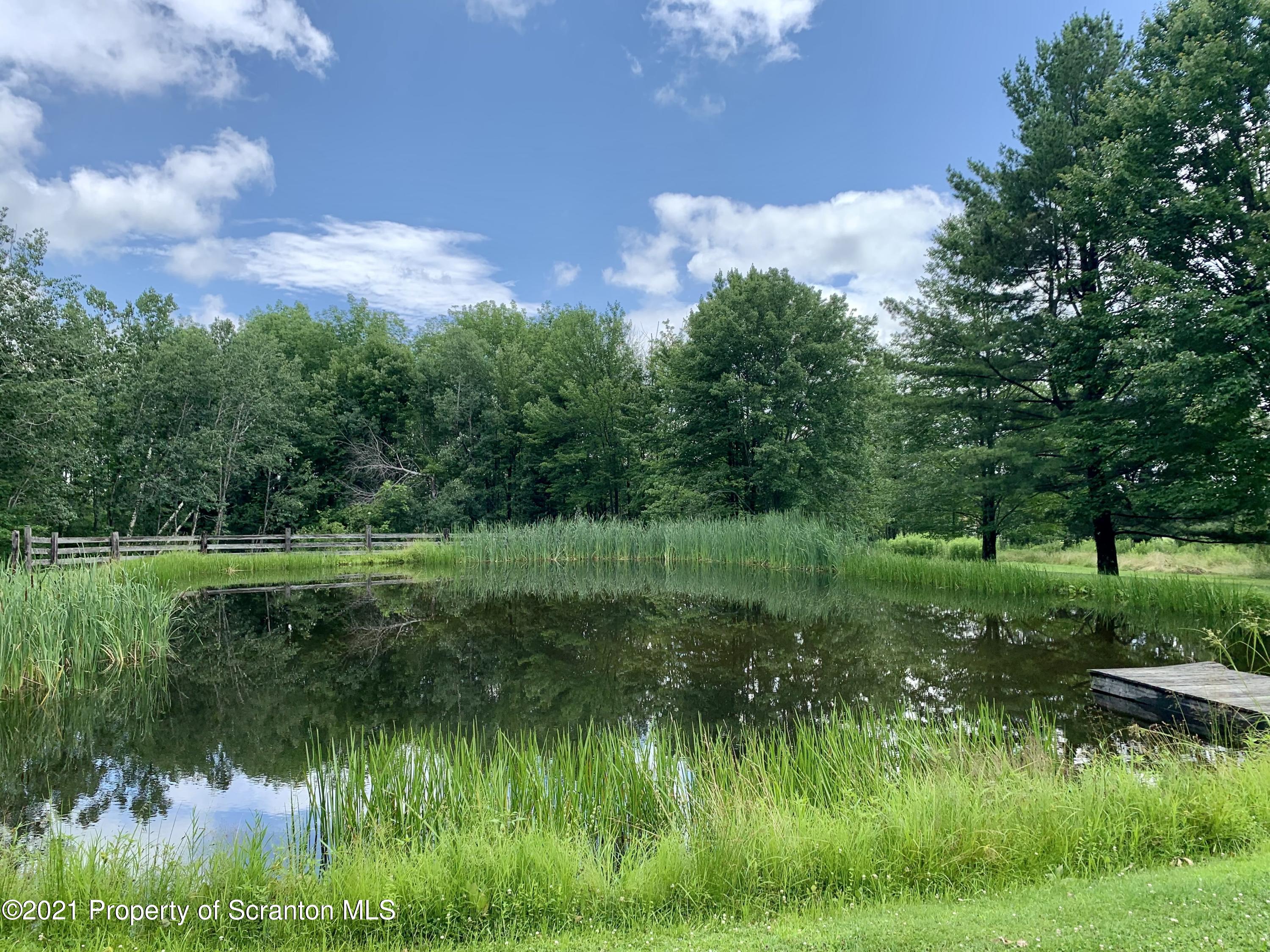 357 Sawmill Road Lake Ariel, PA 18436 - Photo 16 of 45 Pond