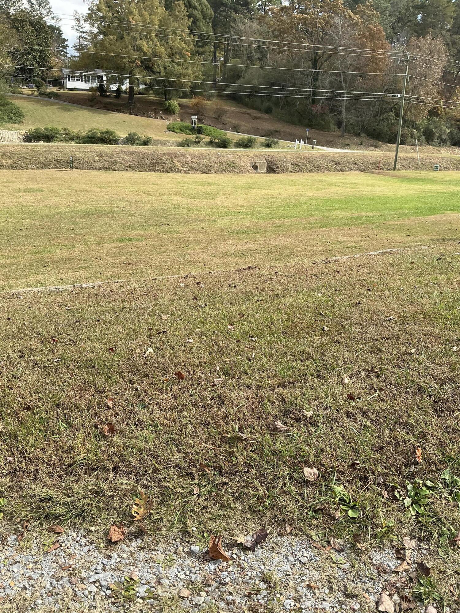 5602 Highway 95 Rock Spring, GA 30739 - Photo 20 of 22 Front yard