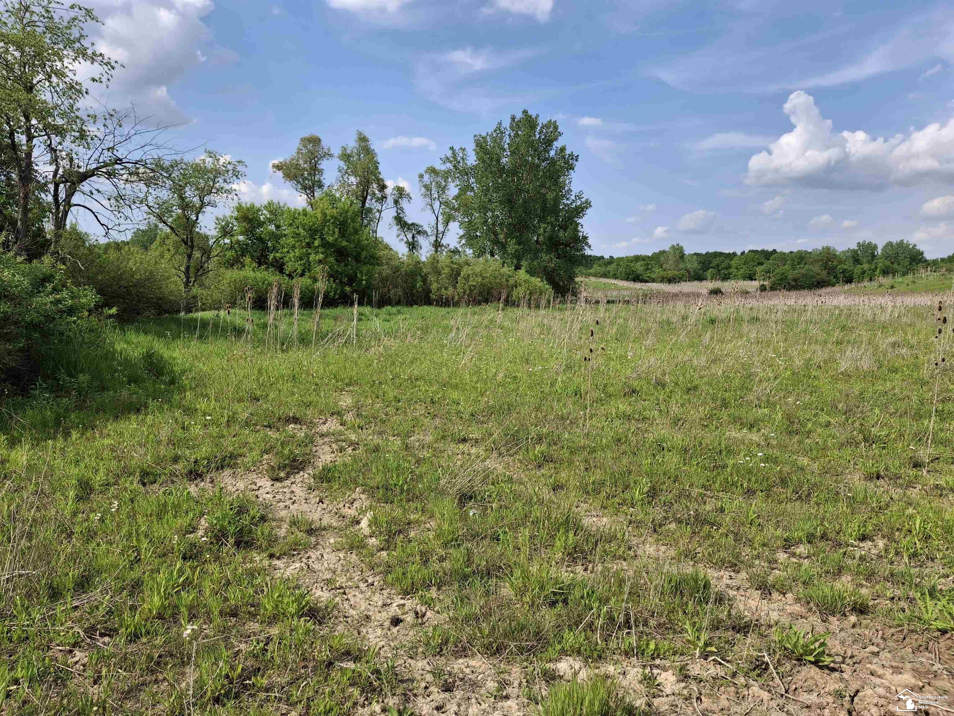 15000 Beecher Road Hudson, MI 49247 - Photo 5 of 10