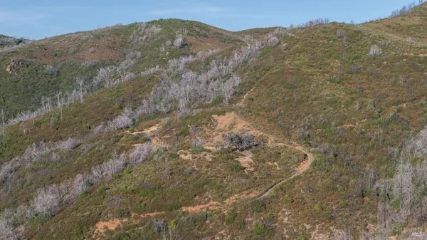 a view of a dry yard with mountains in the background