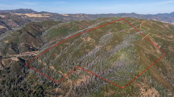 a view of a town with trees