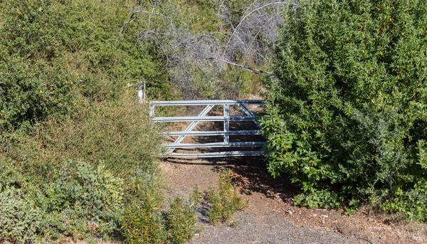 a view of a town with mountains in the background