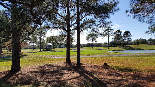 100 Craigend Loop Gulf Shores, AL 36542 - Photo 16 of 39