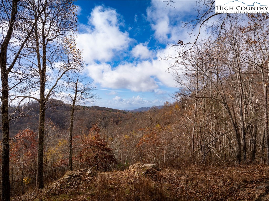 3 Reynolds Parkway Boone, NC 28607 - Photo 12 of 50 a view of a yard
