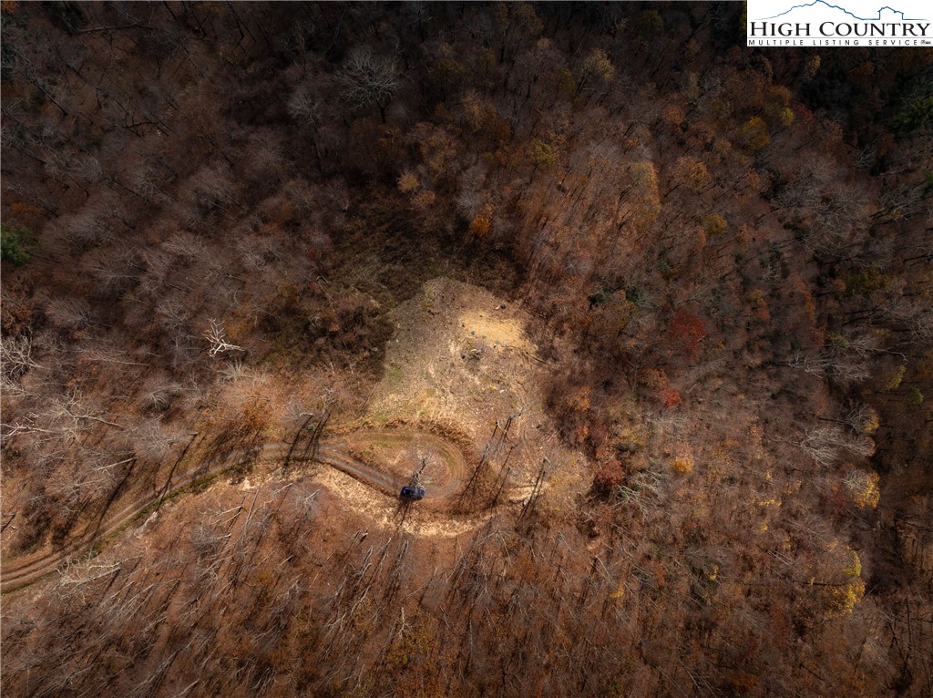 3 Reynolds Parkway Boone, NC 28607 - Photo 15 of 50 a view of a dry yard